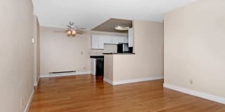 Verde Verde Gallery 8