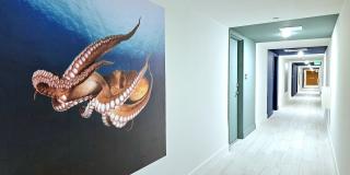 Pixl Pixl Gallery 5