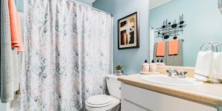 Cooper's Pond Gallery 7