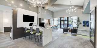 San Remo Gallery 24