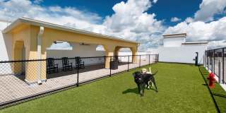 Maitland City Centre Gallery 13