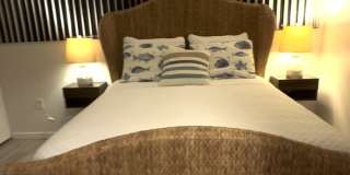 3505 Longmeadow Gallery 6