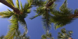 7155 Miami Lakes Dr Gallery 11