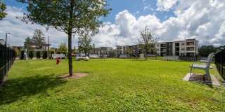 The Ellington at Oviedo Park Gallery 80