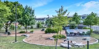 Waters at Sunrise Gallery 18