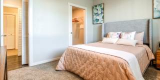 Encore Skyline Gallery 13