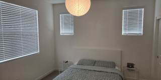 2456 E Encanto Paseo Gallery 10