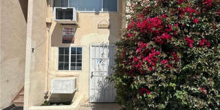 33111 Jamieson Gallery 1