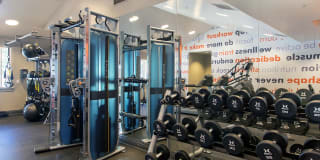 Amador Village Gallery 7