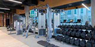 AVA North Point Gallery 28