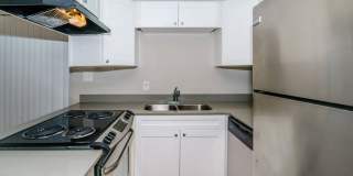 The Madeira Gallery 7