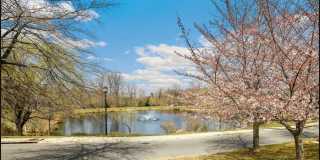 208 Bottsford Avenue Gallery 29