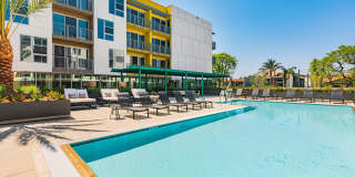 Citrus Commons Gallery 1