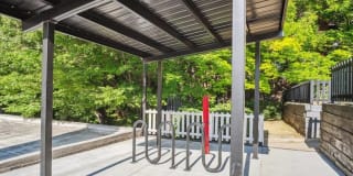 ReNew on Temple ReNew on Temple Gallery 29