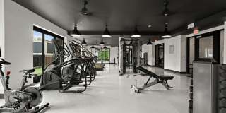 The Grace at Tyron Gallery 8