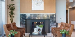 The Standard The Standard Gallery 1