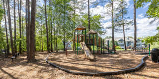 Thornhill Apartments Gallery 28