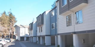 Alterra Alterra Gallery 12