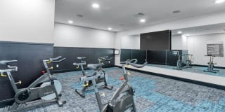 Meridian at the Port Gallery 44