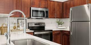 Vinoy St Johns Gallery 11