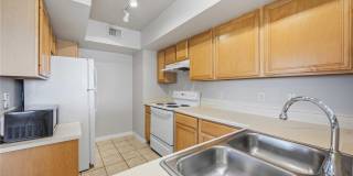 1195 VILLAGIO CIRCLE Gallery 13