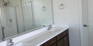 2043 E LANTANA Drive Gallery 11