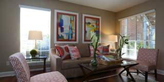 Campeche Cove Gallery 11