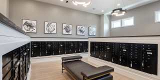 Alexan Magnolia Gallery 21