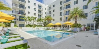 Altis Little Havana Gallery 22