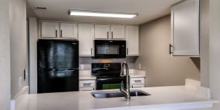 Heron Lake Gallery 3