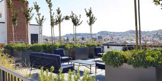 The Madelon Gallery 18