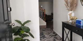 2906 Clovercrest Way Gallery 4
