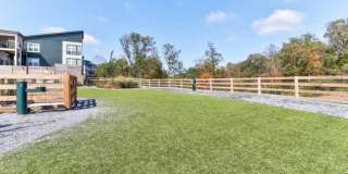 Bells Bluff Gallery 12