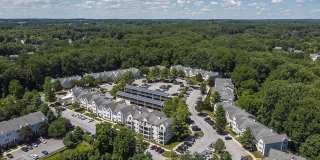 Orchard Park Gallery 36