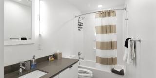 Netherland Gallery 15