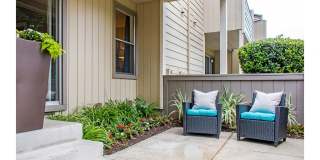 Sofi Dublin Gallery 8