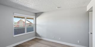 Avens Point Gallery 11