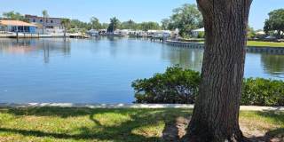 Waterfront Living Near Downtown St. Pete | Boat Access + Designer Finishes Gallery 41