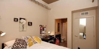 The Elysian Gallery 152