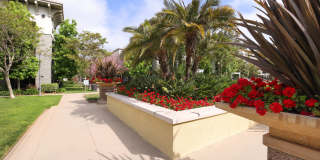 Serenade at Riverpark Gallery 52