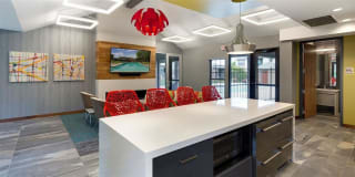 Eden Commons Gallery 19