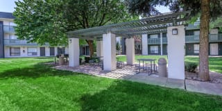 Treehouse Apartments Gallery 51