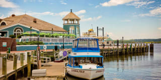 The Frasier Gallery 38