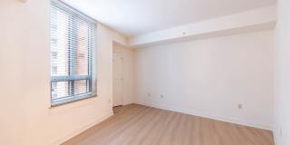 The Veridian Gallery 60