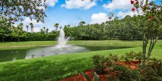 3542 LONE TREE Lane Gallery 46
