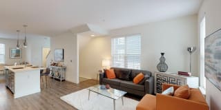 Modera Needham Gallery 4