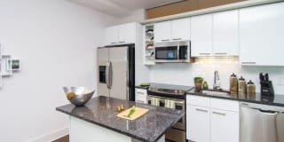 Lex and Leo at Waterfront Station Gallery 4