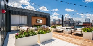 Forte on the Park Gallery 45