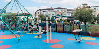 The Triton Gallery 21