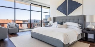 The Village Drey Gallery 28